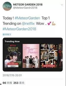 国产自在线拍播放,探索本土影视新天地